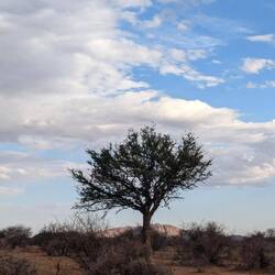 Kleine Wanderung durch die Umgebung