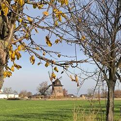 Mühle Wengelsdorf