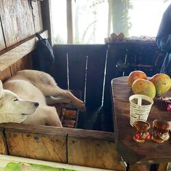 Zur Stärkung gibt es Rum und Canelazo, warme Maracuya mit Zimt, Anis und Nelke 🙏🏻