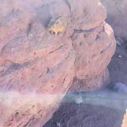 Nicht so ängstlich kleiner Freund 🥹