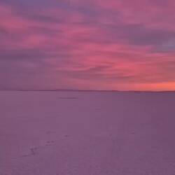 Ein unfassbares Farbenspiel 🤩