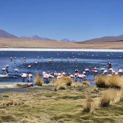 So viele Pinken 😍