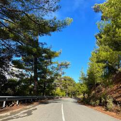 ..wieder zurück an die Straße, welche..