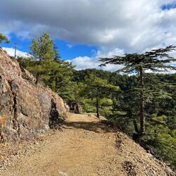 Mich führt der Weg erneut hinab, wo ich der Versuchung..