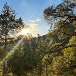 ..schließlich einen tollen Platz für die Nacht.