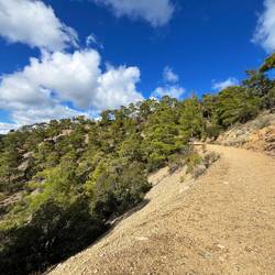 Der Weg ändert sich anschließend ein klein wenig,..