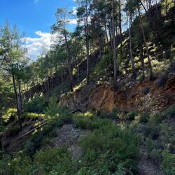 Letztlich komme ich mit wenigen Hoppalas durch und finde..