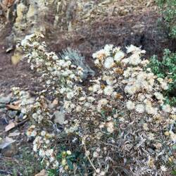 Der Weg führt anschließend..