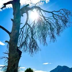 Wanderung im Naturpark Cirali