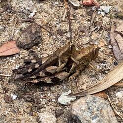 So herum geht es auch