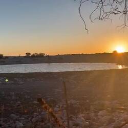 Wasserloch im Zeitraffer mit Giraffen und Rhinofamilie