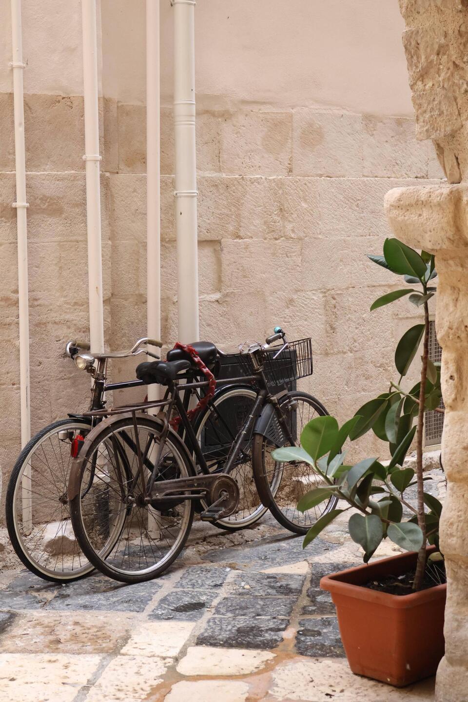 Bari