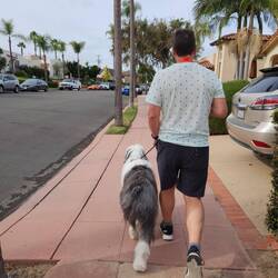 Out for our first walk