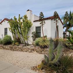 Our house sit home for 5 days