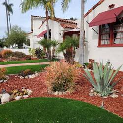 Loving the low maintenance yards