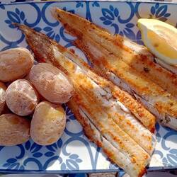 Seezunge mit Papas arrugadas