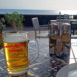 Stillleben mit Bier