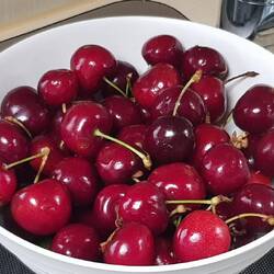 November in Argentina... cherry time!