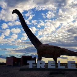 The biggest dinosaurier, city of Trelew.