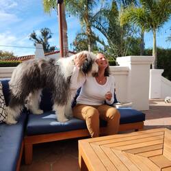 He's hard to stop, then I get laughing😂