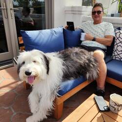 Chester is a love ❤️