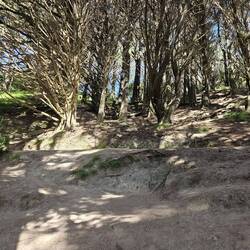 Versteck der Hobbits