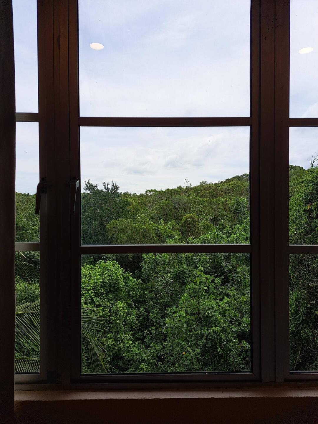 La vue de notre chambre