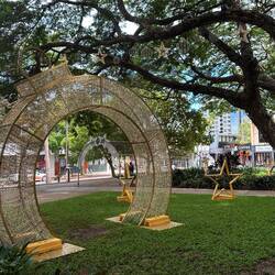More Xmas decorations in the trees