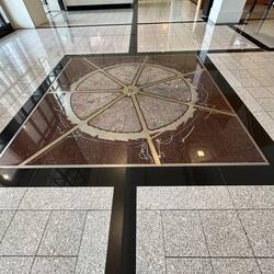 Emblem of the Territory - Sturt's Desert Rose