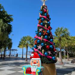 Christmas in Cairns