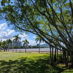 Cairns Esplanade