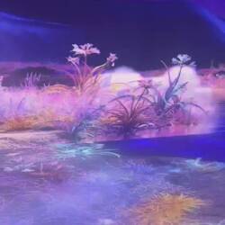 Im Seoul Tower auf dem Weg zu Aussicht, das meine ich mit "Stil"😂