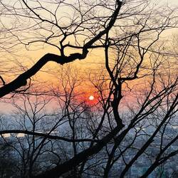 Auf dem Weg zum "Seoul Tower"