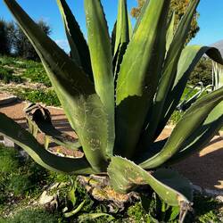 People will find anything to graffiti !