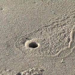 Wir haben uns so viel Mühe gegeben.... 🥴