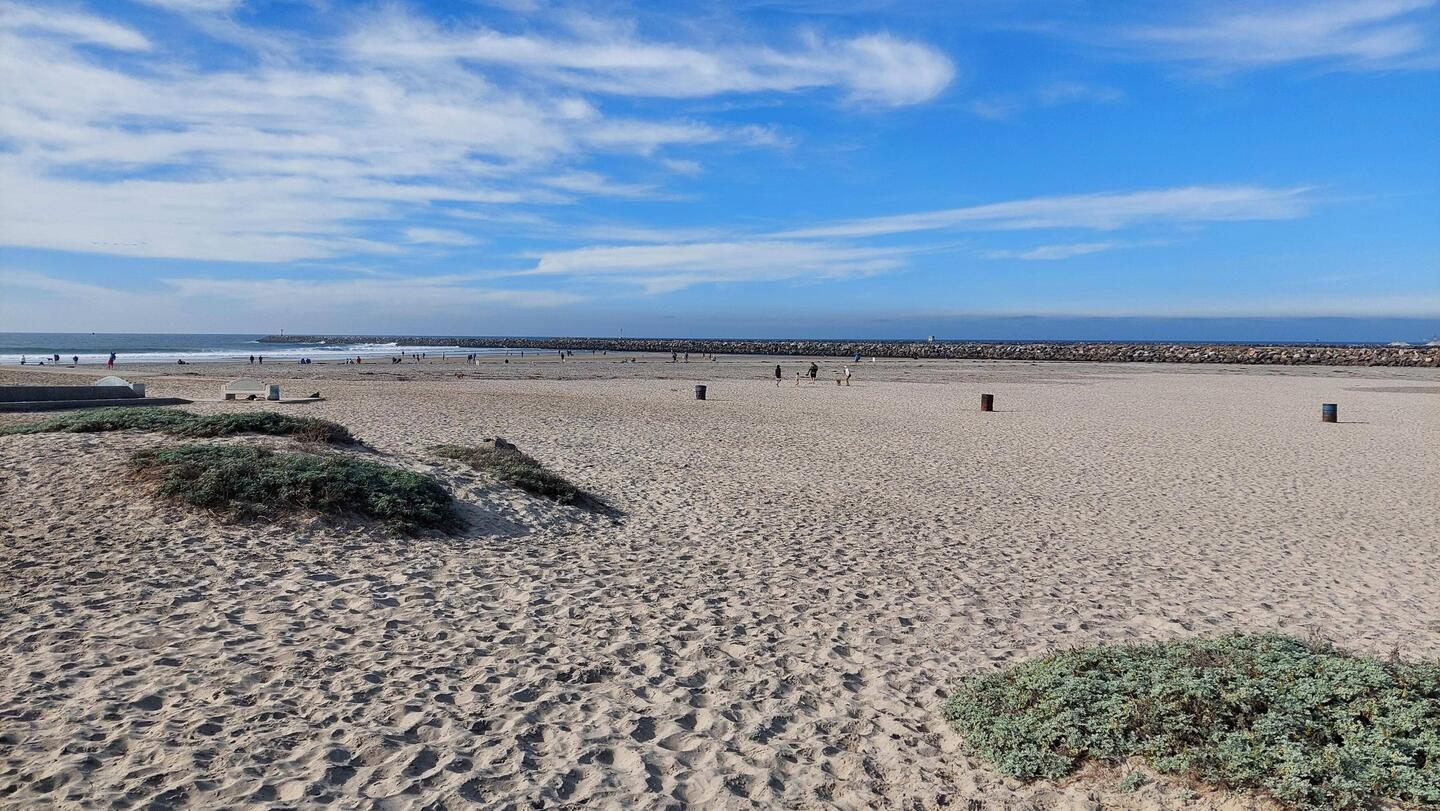 Ocean Beach