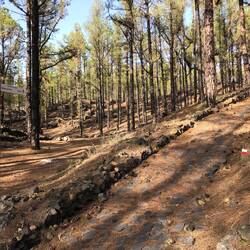 Hier führt der Wanderweg GR-131 Richtung Norden noch ca. 60 km bis Tazacorte.