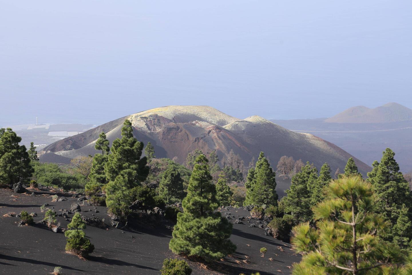 Blick vom Mirador Llano del Jable auf den Tajogaite