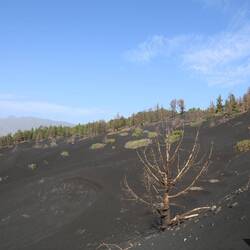 Unwirkliche Landschaft