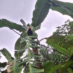 Direkt vor minere Veranda 😍