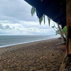 ...es es rägnet - nei es schüttet - wider. Aber simer halt im Regenwald da 🤷‍♀️