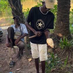 On nous accueille avec des noix de coco