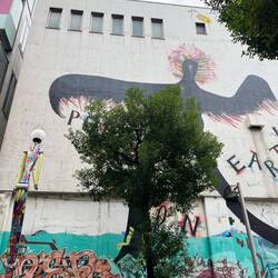 Amerika Mura District