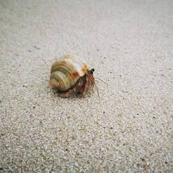 Unser Freund Manfred