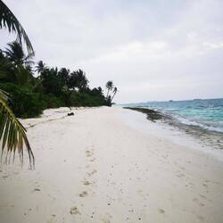 Das diesige Wetter lässt grüßen