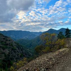..auf der Suche nach einem Schlafplatz.