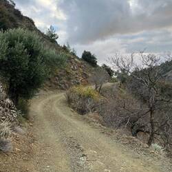 Frisch gewaschen machen ich noch die letzten Kilometer, ständig..