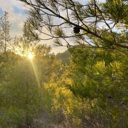 Als sich die Sonne verabschiedet, werde ich doch noch fündig 👌🏻