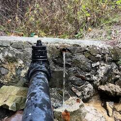 ..seit Montag vorbei - tja, man darf nicht wählerisch sein - ausziehen und los kann es gehen 🫧