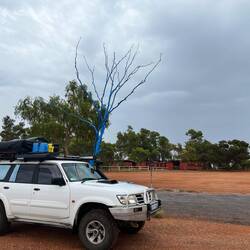 Pause am Highway. Hinter dem Auto: Ein blauer Baum 💙